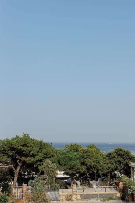 Ναυτικός Όμιλος Nautical Club Daire Sakız Dış mekan fotoğraf
